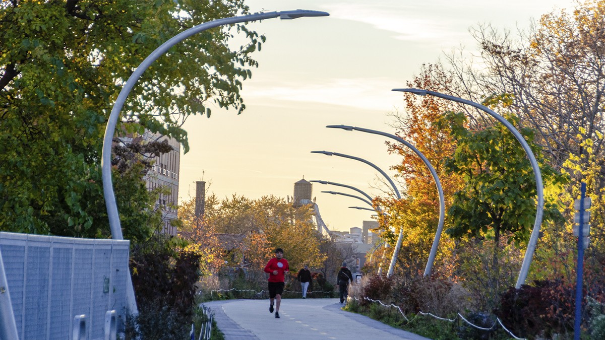 The 606 | TCLF
